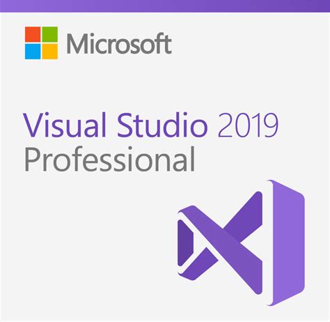 vs 2019 professional.